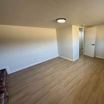 Daniel's room