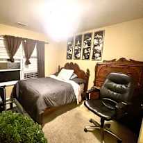 Ann's room