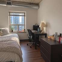 Laraib's room