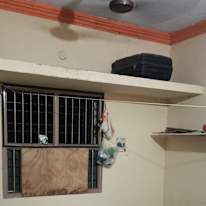 Myvizhikannan's room