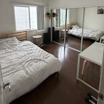 Shawn's room