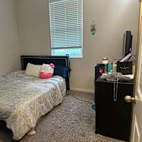 Sahar Sina's room