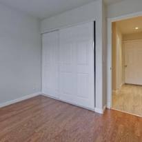 Zion's room