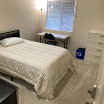 David Paul's room