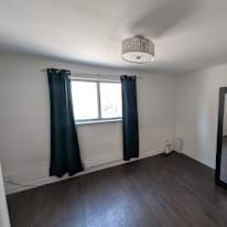 Andrea's room