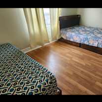 Moh's room