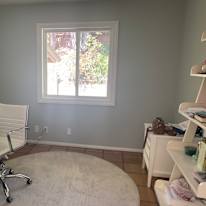 sheyda amini's room