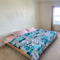 Mary's room