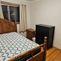 Shane's room