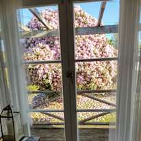Lisa's room