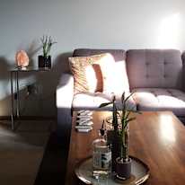 Rose's room