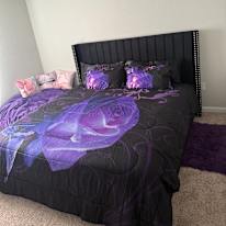 Aallisha's room