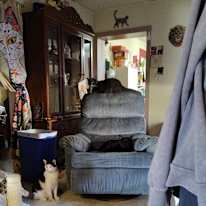 Michelle's room
