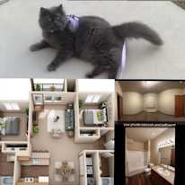 Lux's room