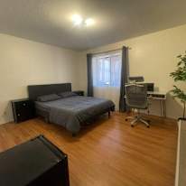 Abhi home's room