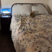 Michelle Xian's room