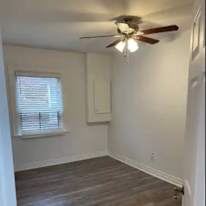Ant's room