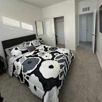 Alex's room