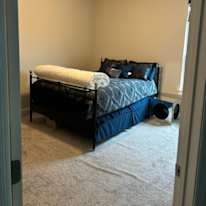 Noshad's room