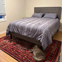 Tiziana's room