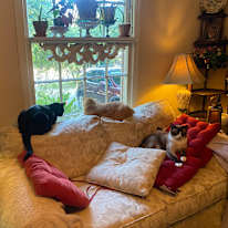 John V Mahan's room