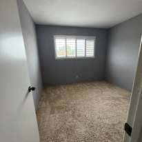 Cintia's room