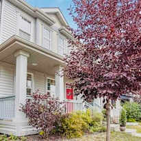 Rahima Sayeed's room