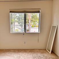 Sophia's room
