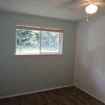Susan Cook's room