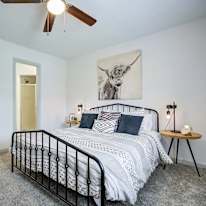 Janelle's room