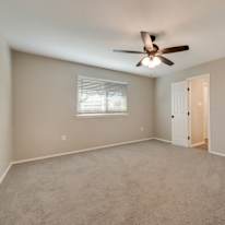 Shane's room