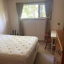 Irene's room