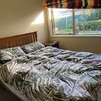 Steve's room