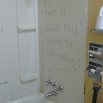 Miss Renee K. Taylor--Cleaner--French Degree--Theatre and Science Buff--Wants to help resolve an unconfirmed Crime-Incident's room