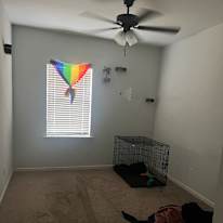 Liz's room