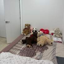 Puneet's room