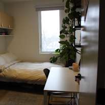 Maya's room