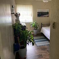 Robert's room