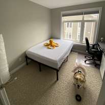 Drew's room