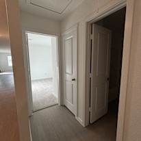 Cat's room