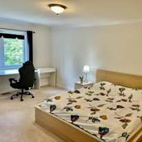 Quinn's room