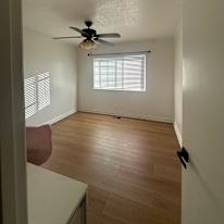 Evelyn's room