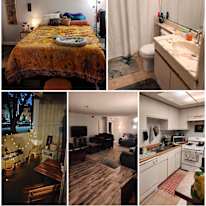 Zhiyu Dong's room