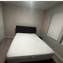 Rupa's room