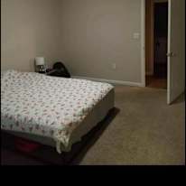 Zeynep Arslan's room
