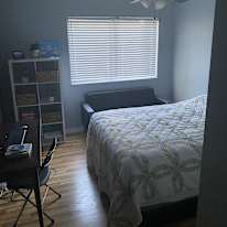 Synergymatt's room