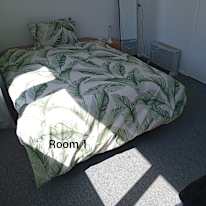 Anit's room