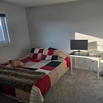Ron's room