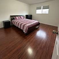 Shawn's room