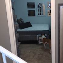 Bonnie's room